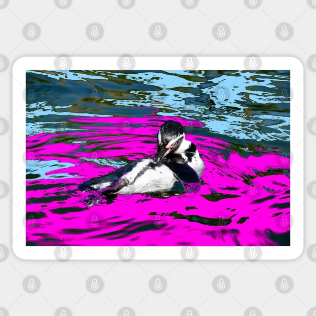 Pinguin / Swiss Artwork Photography Sticker by RaphaelWolf